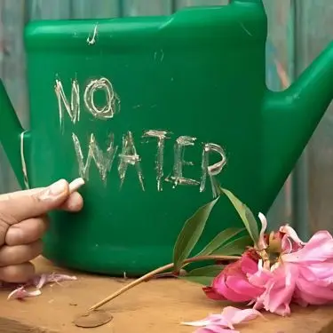 Spar på vandet - sæt vandingen i system!